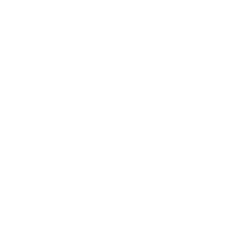 Cabin Crew Training Programs